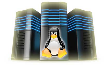 linux web hosting in Pakistan