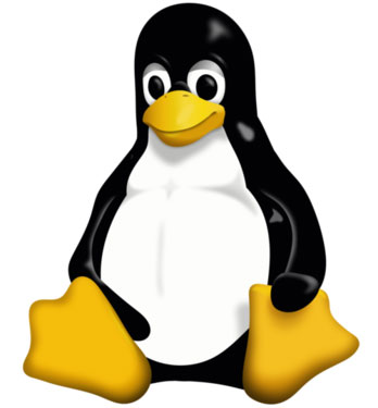 Linux server Pakistan
