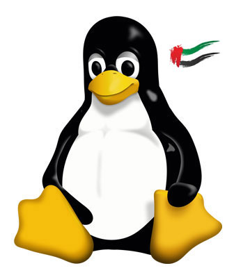 Linux VPS Hosting in UAE